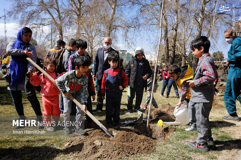 عکس/ مراسم روز درختکاری در همدان