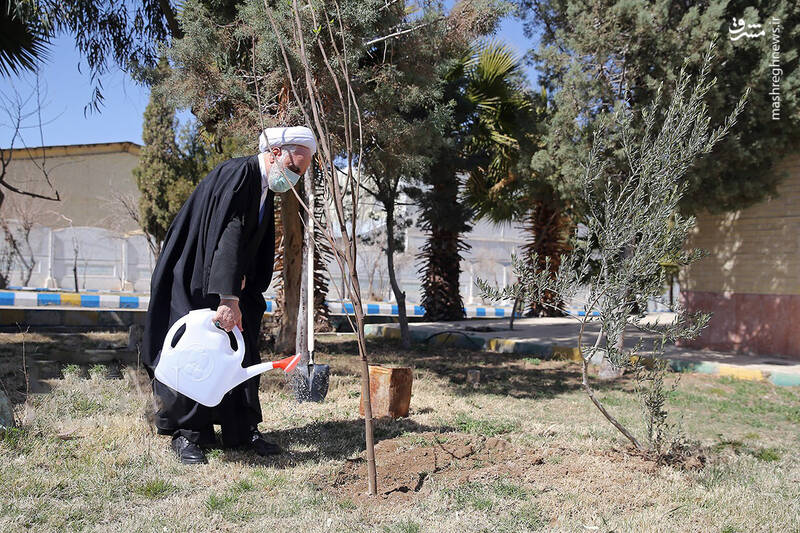 عکس/ کاشت نهال توسط سران قوا در روز درختکاری