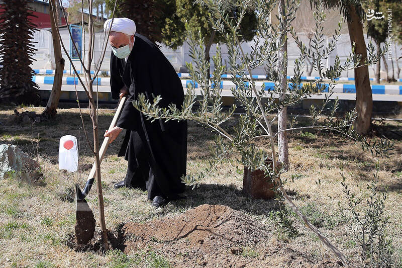 عکس/ کاشت نهال توسط سران قوا در روز درختکاری