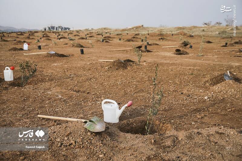 عکس/ مراسم روز درختکاری در سپاه پاسداران