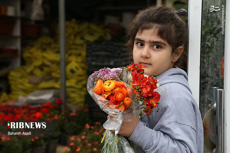 عکس/ حال و هوای بازار گل و گیاه پایتخت در آستانه سال نو