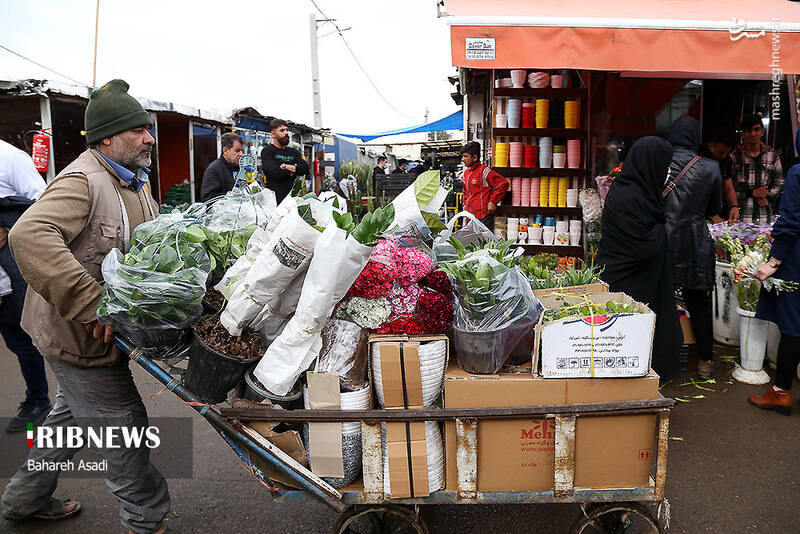 عکس/ حال و هوای بازار گل و گیاه پایتخت در آستانه سال نو