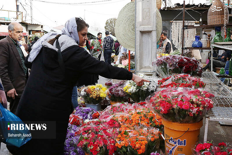 عکس/ حال و هوای بازار گل و گیاه پایتخت در آستانه سال نو