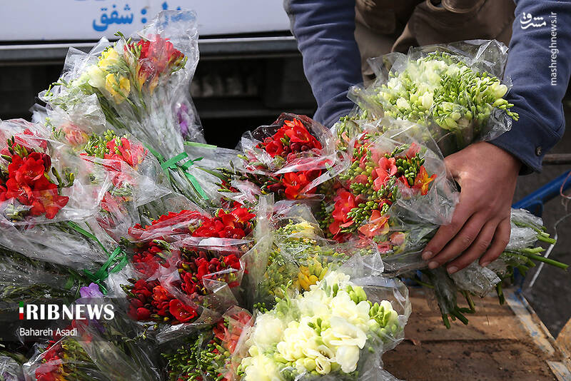 عکس/ حال و هوای بازار گل و گیاه پایتخت در آستانه سال نو