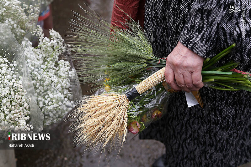 عکس/ حال و هوای بازار گل و گیاه پایتخت در آستانه سال نو