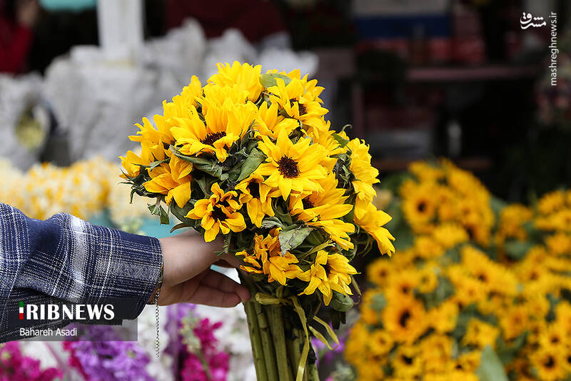 عکس/ حال و هوای بازار گل و گیاه پایتخت در آستانه سال نو