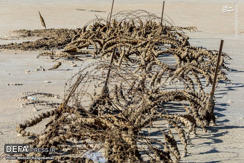 عکس/ یادمان شهدای شلمچه