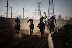 عکس / هفته پایانی مسابقات اسب دوانی کشور