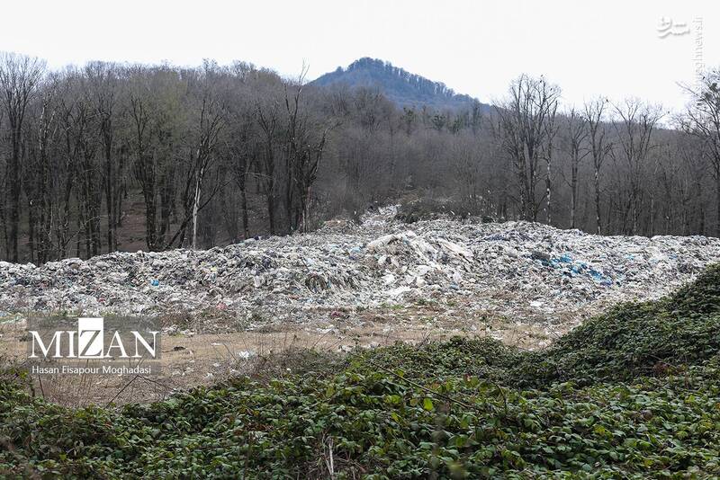 عکس/ دپوی زباله در دل جنگل