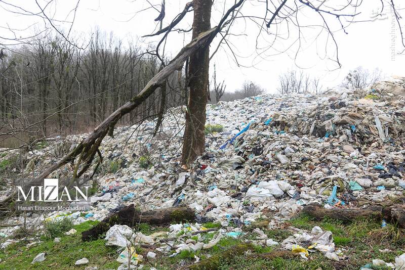 عکس/ دپوی زباله در دل جنگل