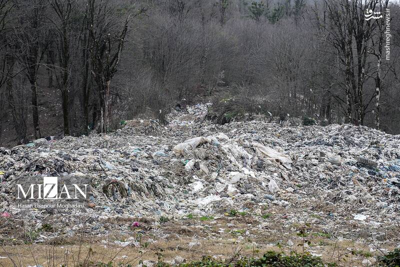 عکس/ دپوی زباله در دل جنگل