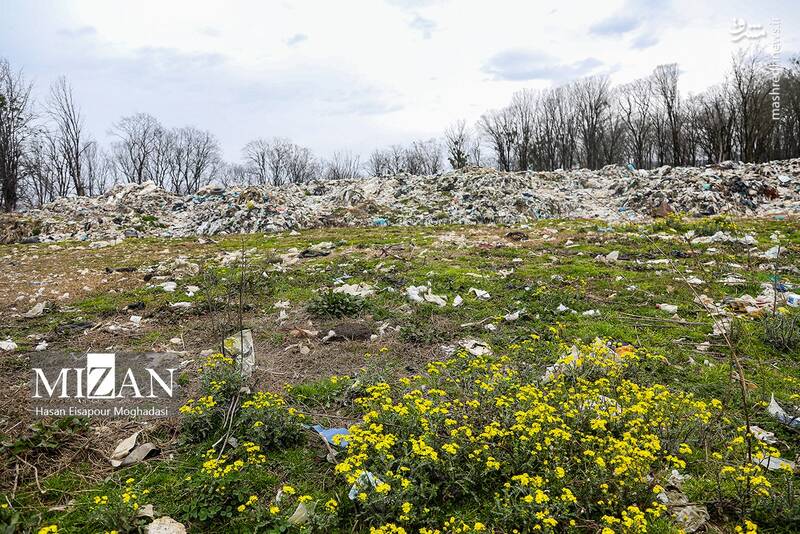 عکس/ دپوی زباله در دل جنگل
