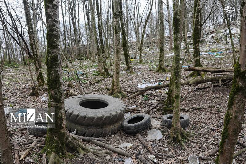 عکس/ دپوی زباله در دل جنگل