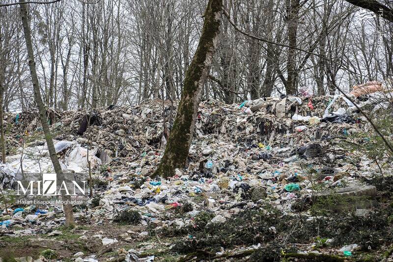 عکس/ دپوی زباله در دل جنگل
