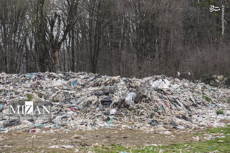 عکس/ دپوی زباله در دل جنگل