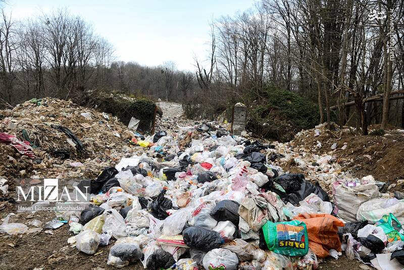 عکس/ دپوی زباله در دل جنگل