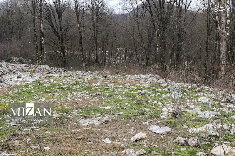 عکس/ دپوی زباله در دل جنگل