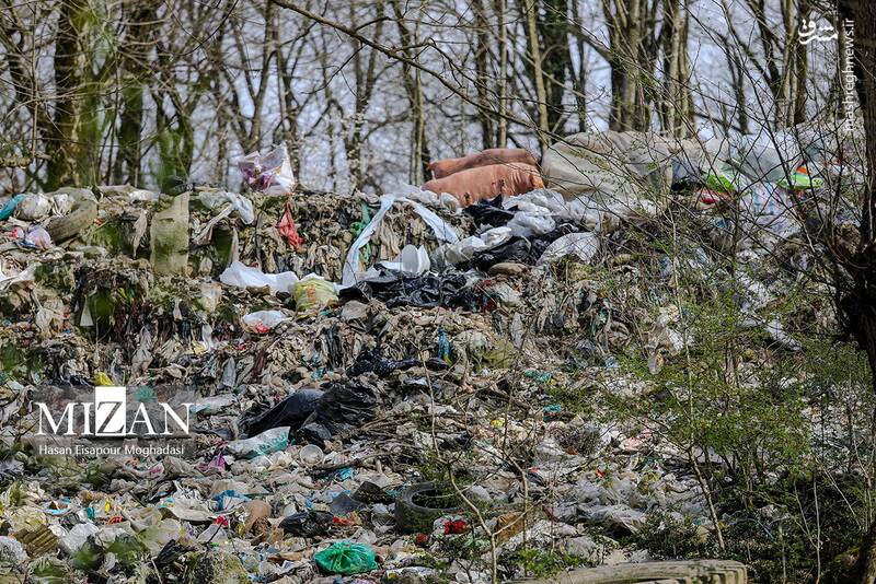 عکس/ دپوی زباله در دل جنگل