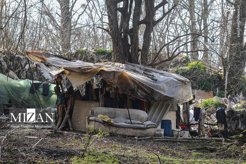 عکس/ دپوی زباله در دل جنگل