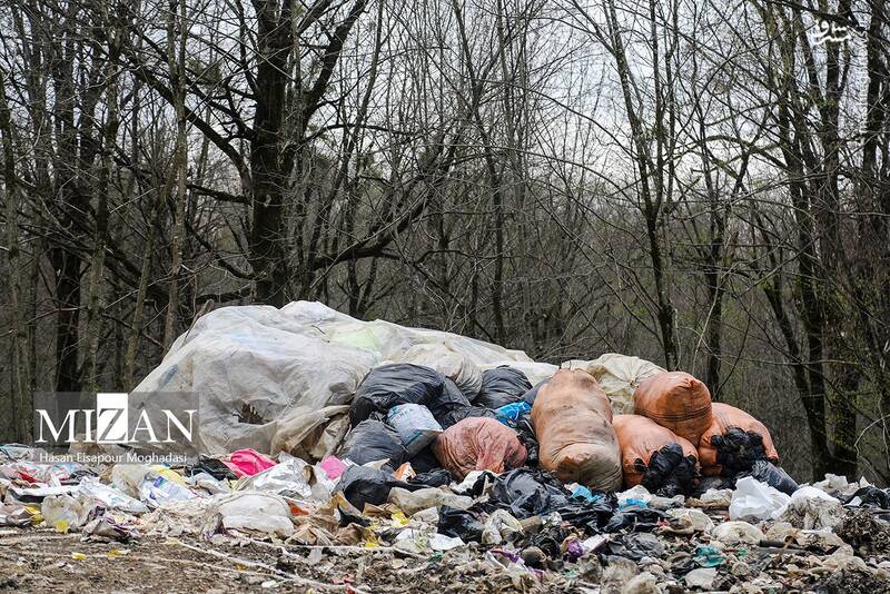 عکس/ دپوی زباله در دل جنگل