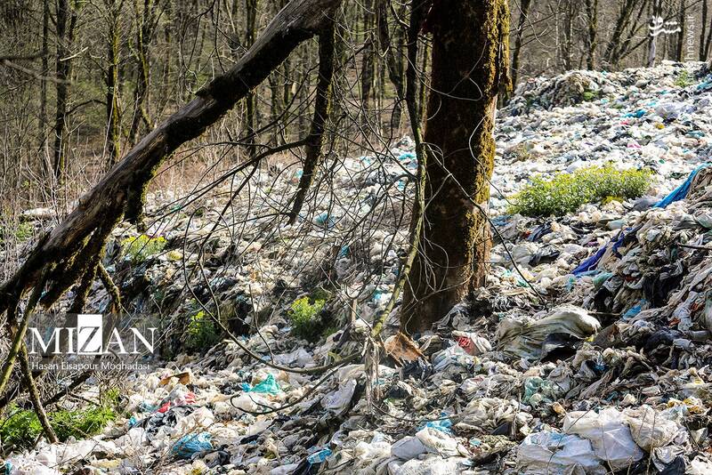 عکس/ دپوی زباله در دل جنگل