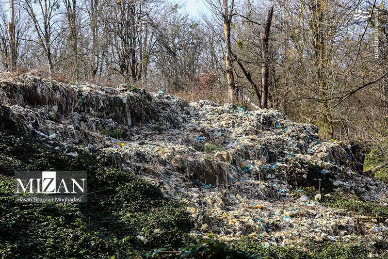 عکس/ دپوی زباله در دل جنگل