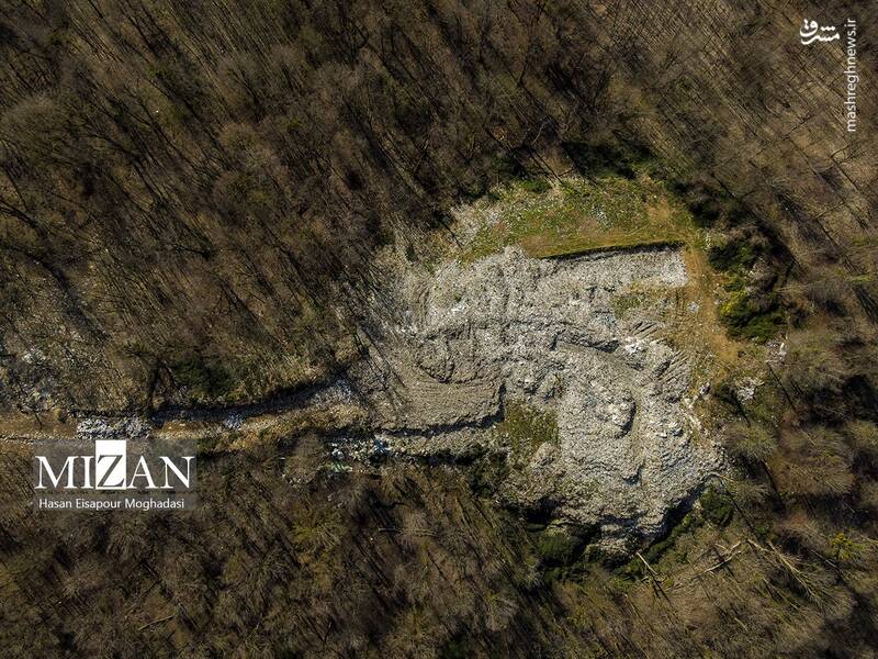 عکس/ دپوی زباله در دل جنگل