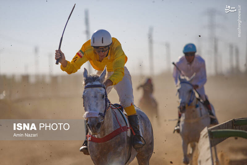 عکس / هفته پایانی مسابقات اسب دوانی کشور 19