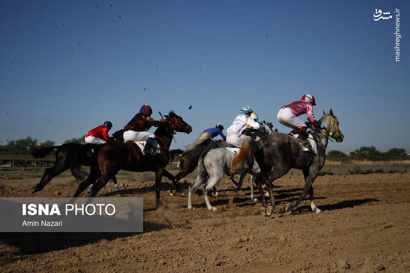 عکس / هفته پایانی مسابقات اسب دوانی کشور 18