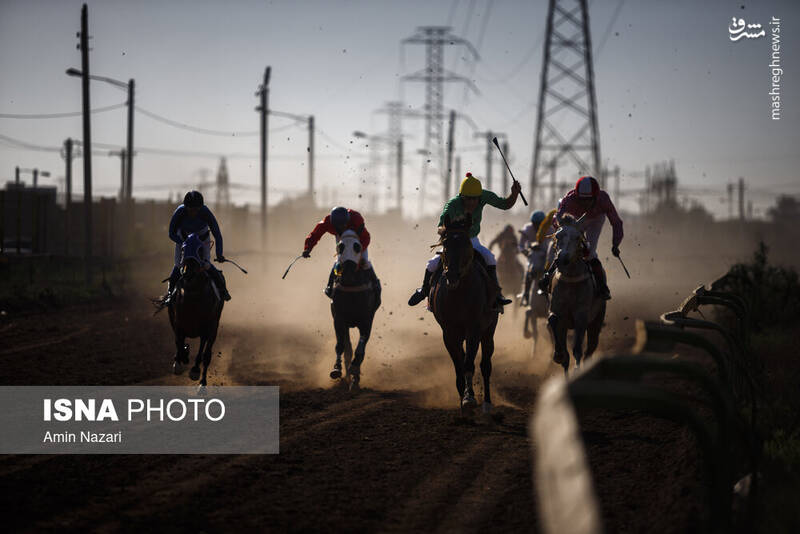 عکس / هفته پایانی مسابقات اسب دوانی کشور 17