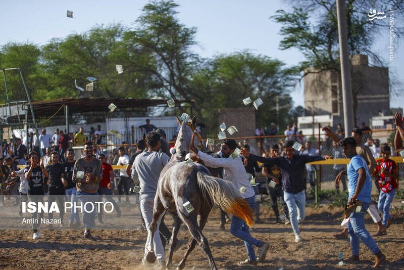 عکس / هفته پایانی مسابقات اسب دوانی کشور 16