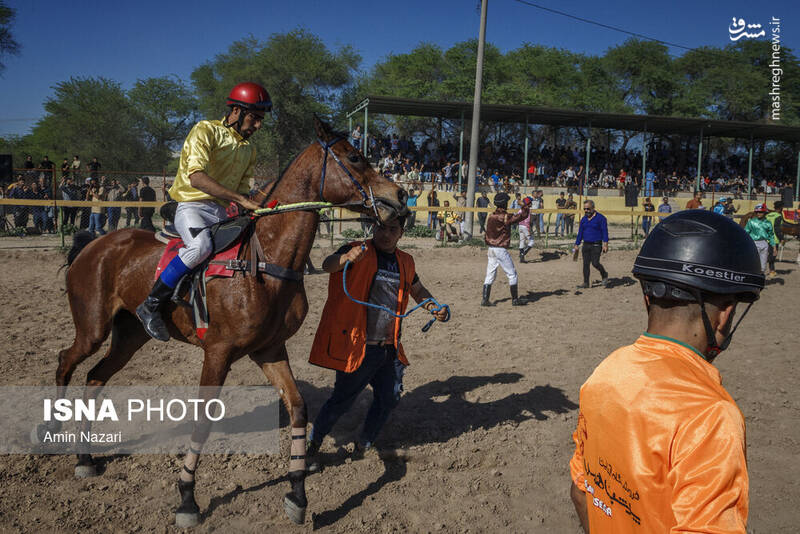 عکس / هفته پایانی مسابقات اسب دوانی کشور 14
