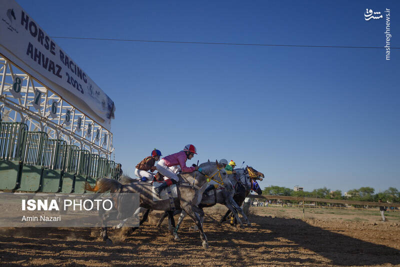 عکس / هفته پایانی مسابقات اسب دوانی کشور 5