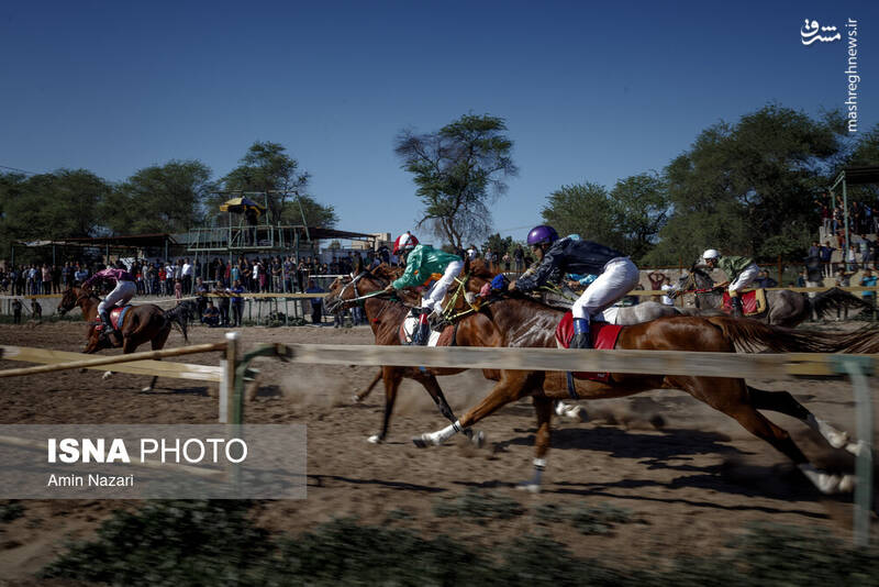 عکس / هفته پایانی مسابقات اسب دوانی کشور 13