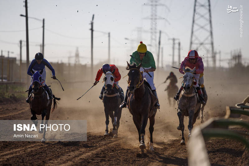 عکس / هفته پایانی مسابقات اسب دوانی کشور 12