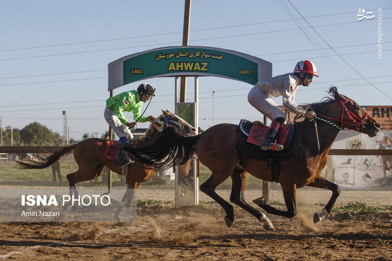 عکس / هفته پایانی مسابقات اسب دوانی کشور 10