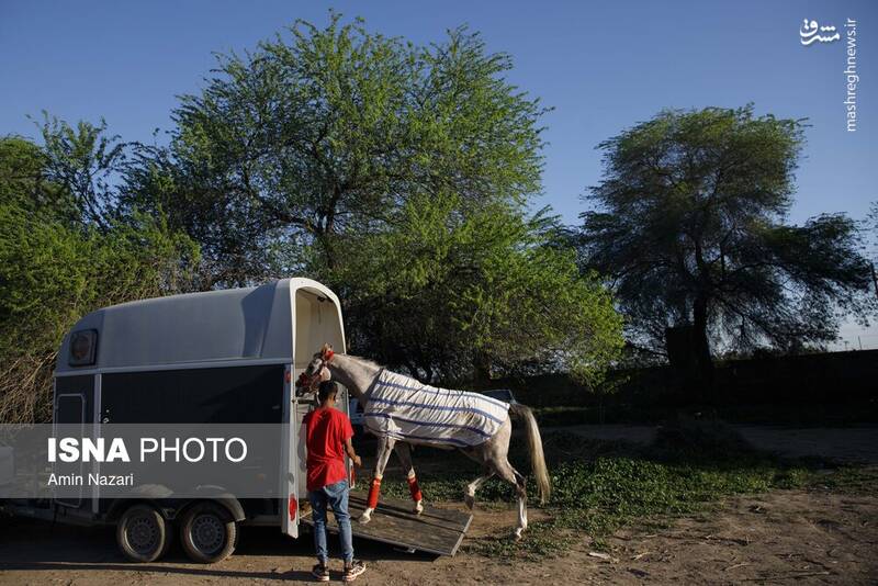 عکس / هفته پایانی مسابقات اسب دوانی کشور 20