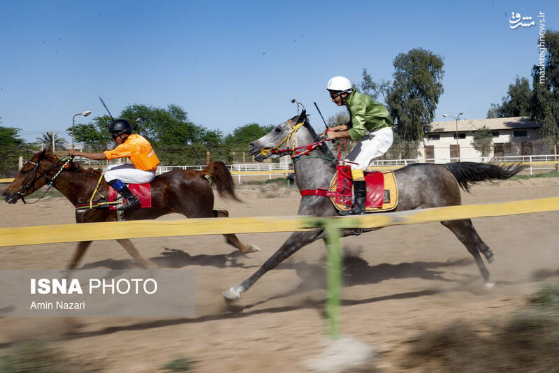 عکس / هفته پایانی مسابقات اسب دوانی کشور 9