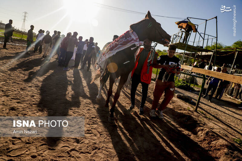 عکس / هفته پایانی مسابقات اسب دوانی کشور 8