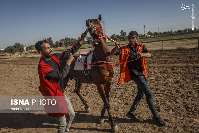 عکس / هفته پایانی مسابقات اسب دوانی کشور 7