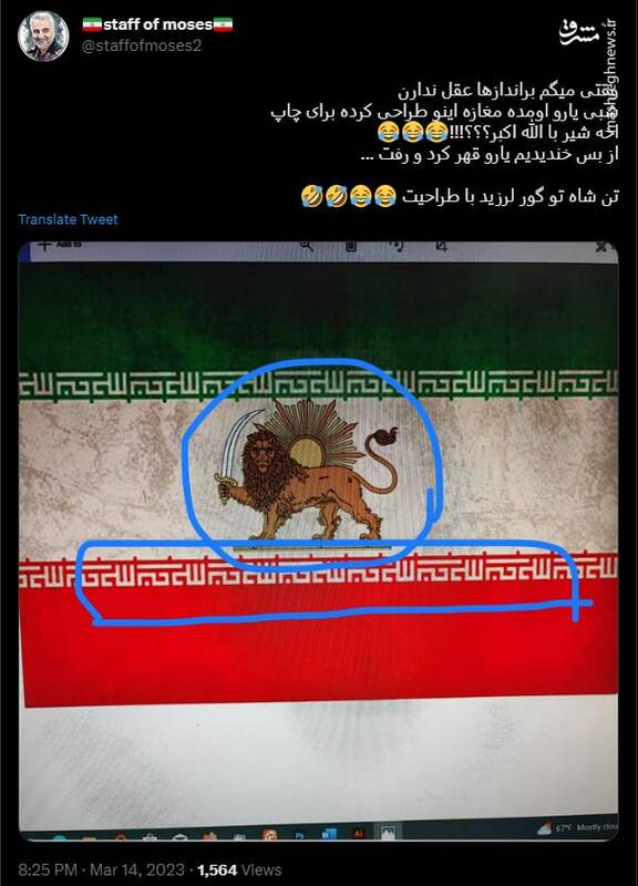 وقتی میگم براندازها عقل ندارن+ عکس