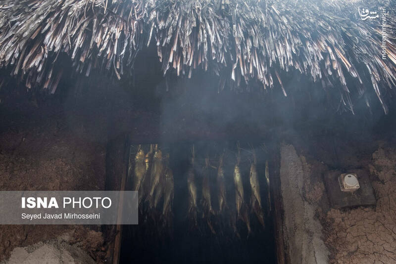 عکس/ دودی کردن ماهی به روش سنتی