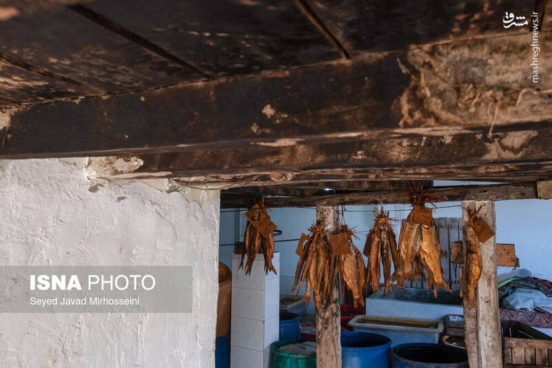 عکس/ دودی کردن ماهی به روش سنتی