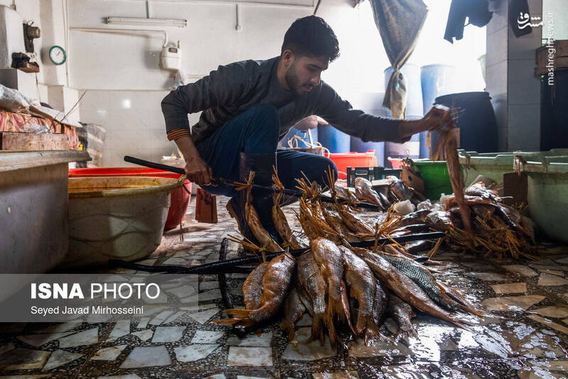عکس/ دودی کردن ماهی به روش سنتی