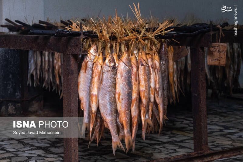 عکس/ دودی کردن ماهی به روش سنتی