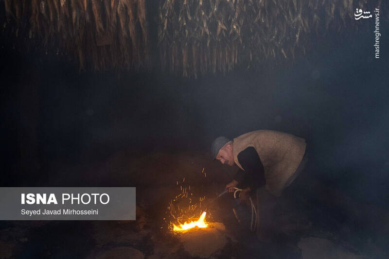 عکس/ دودی کردن ماهی به روش سنتی