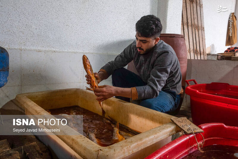 عکس/ دودی کردن ماهی به روش سنتی