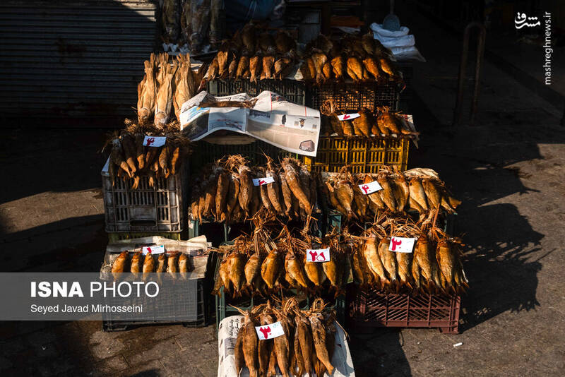 عکس/ دودی کردن ماهی به روش سنتی