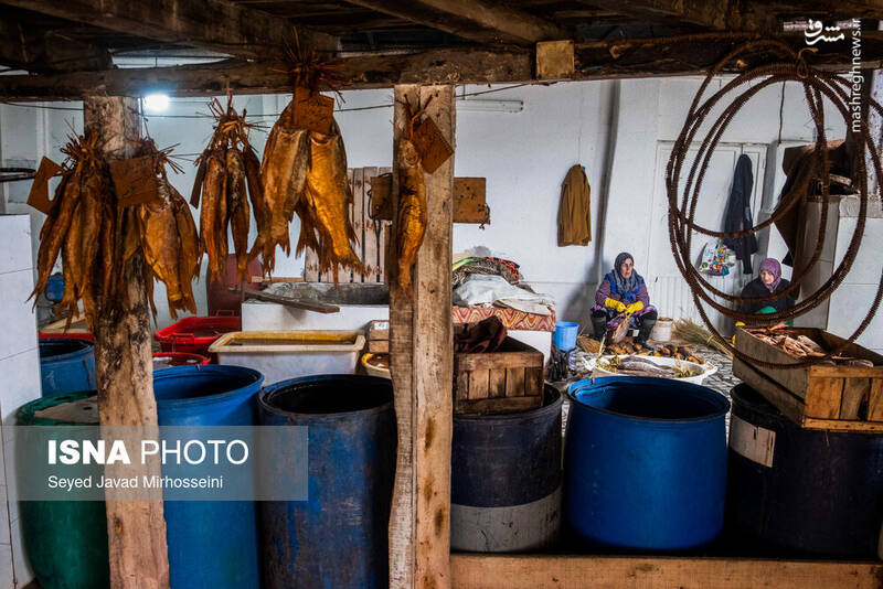 عکس/ دودی کردن ماهی به روش سنتی