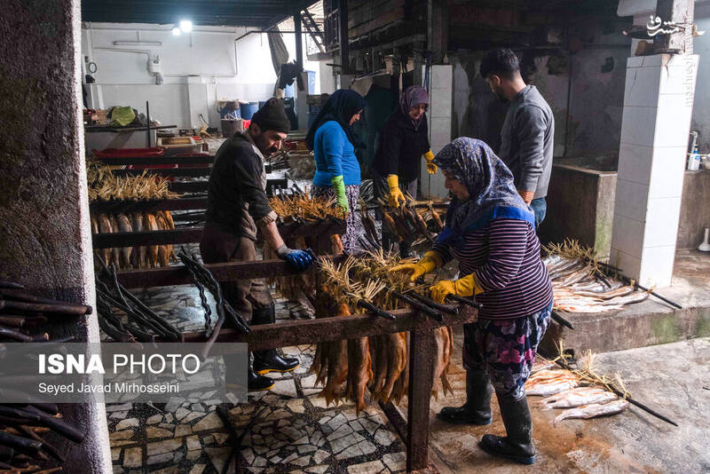 عکس/ دودی کردن ماهی به روش سنتی